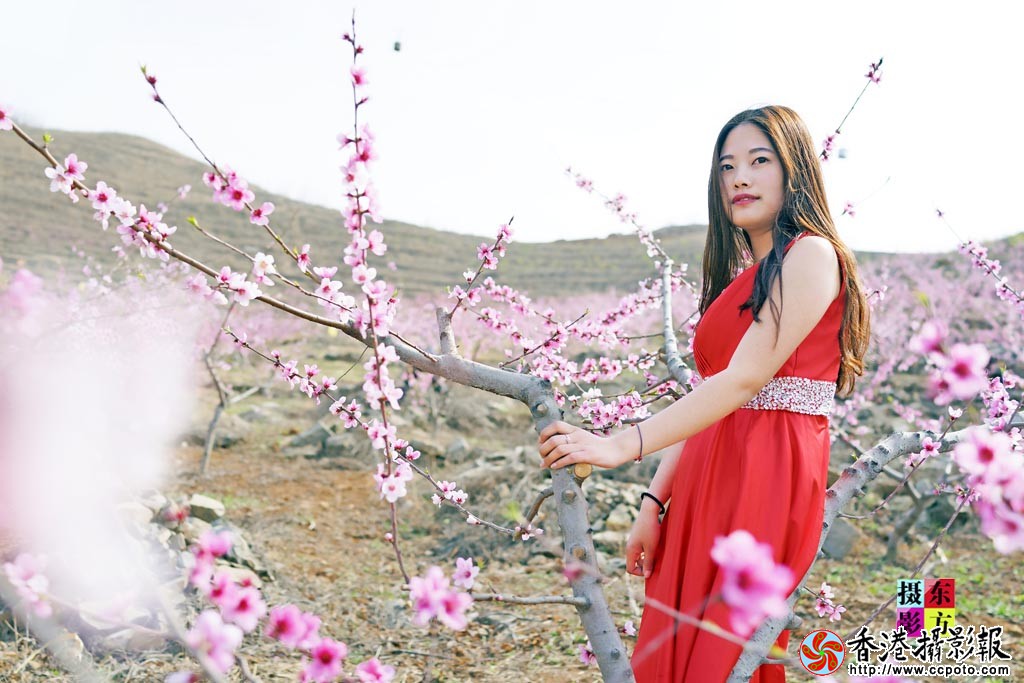 东南山上桃花女2..jpg