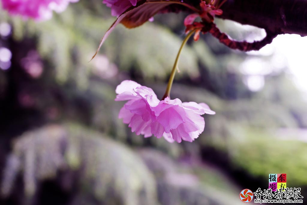花都北城2..jpg