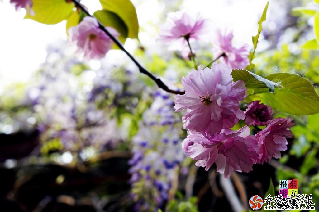 花都北城8..jpg