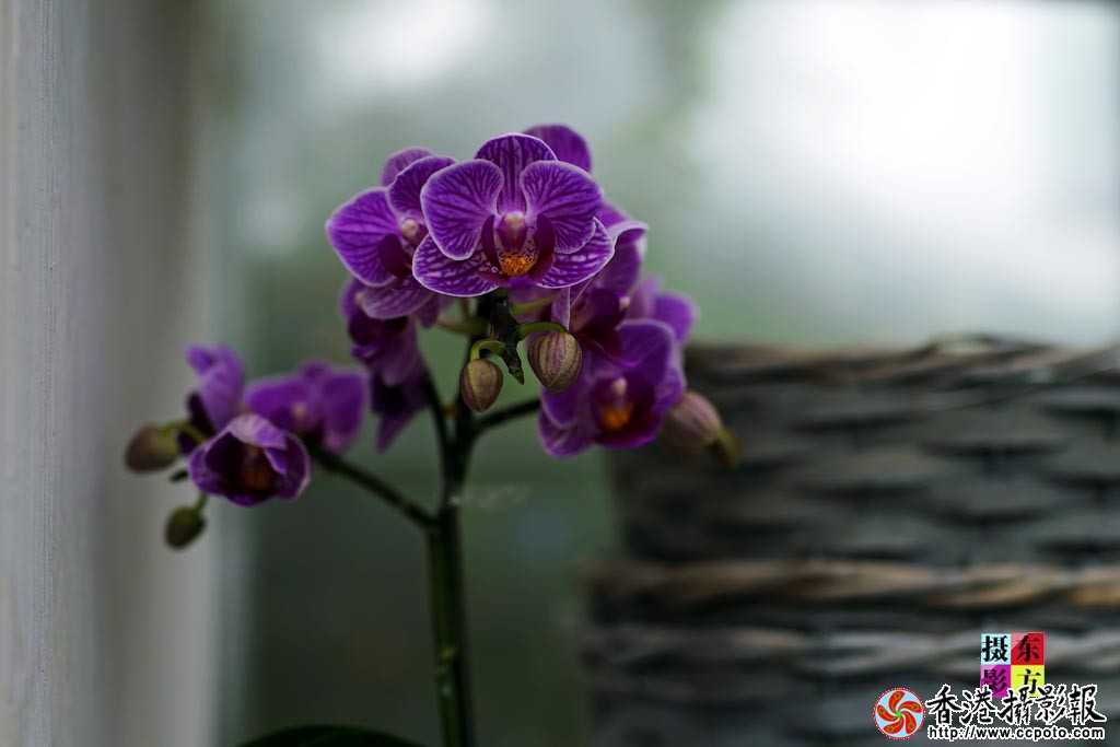 兰陵展馆随拍1..jpg