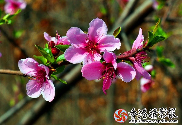 QQ图片20160421144606.jpg