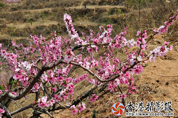 QQ图片20160421144631.jpg