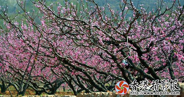 QQ图片20160421144640.jpg