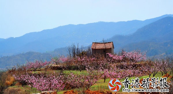QQ图片20160421150559.jpg