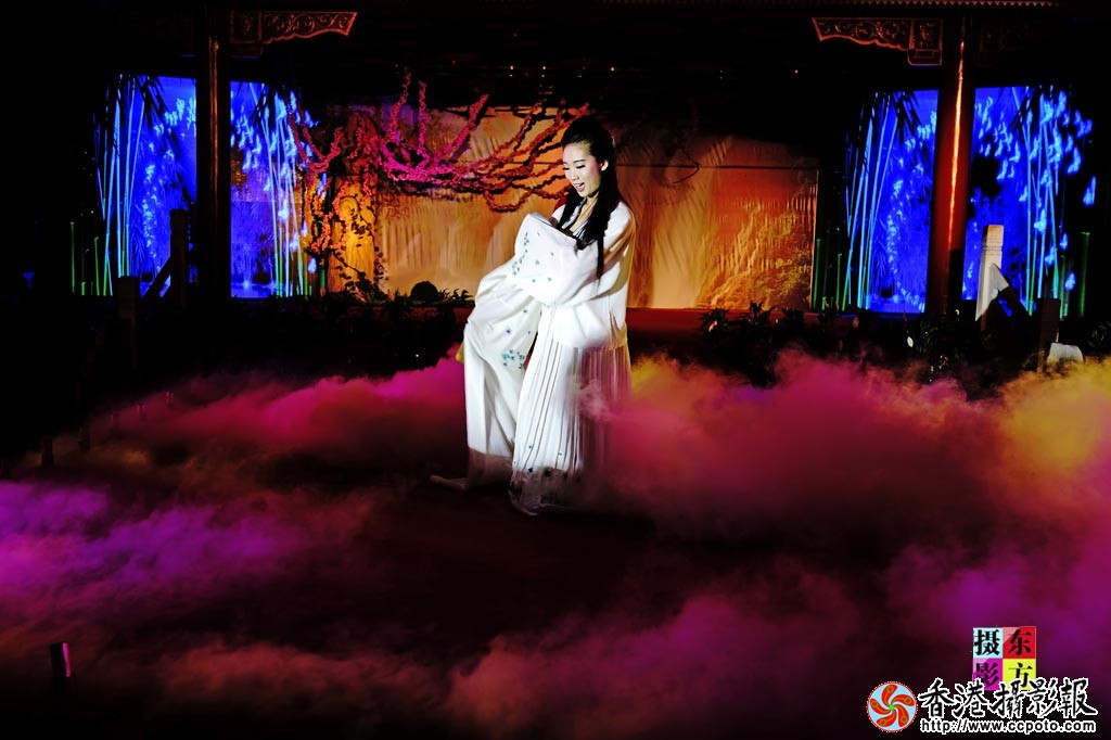 古典乐舞表演18..jpg