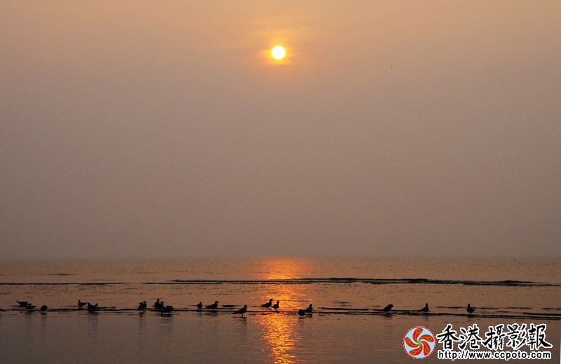 沐浴朝阳