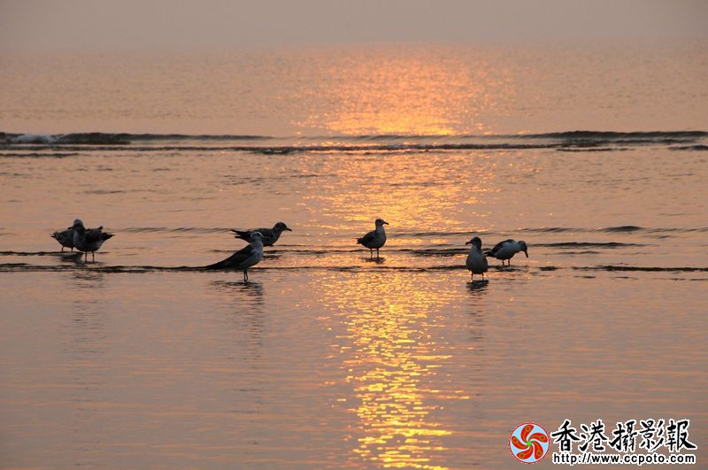 沐浴朝阳