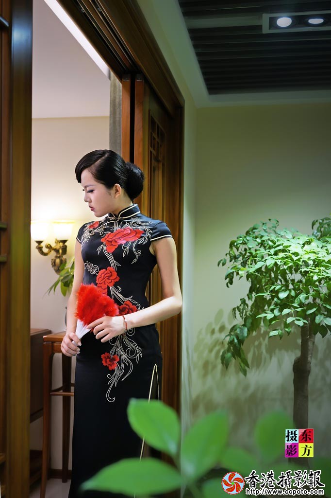 梧桐树旗袍主题摄影8..jpg