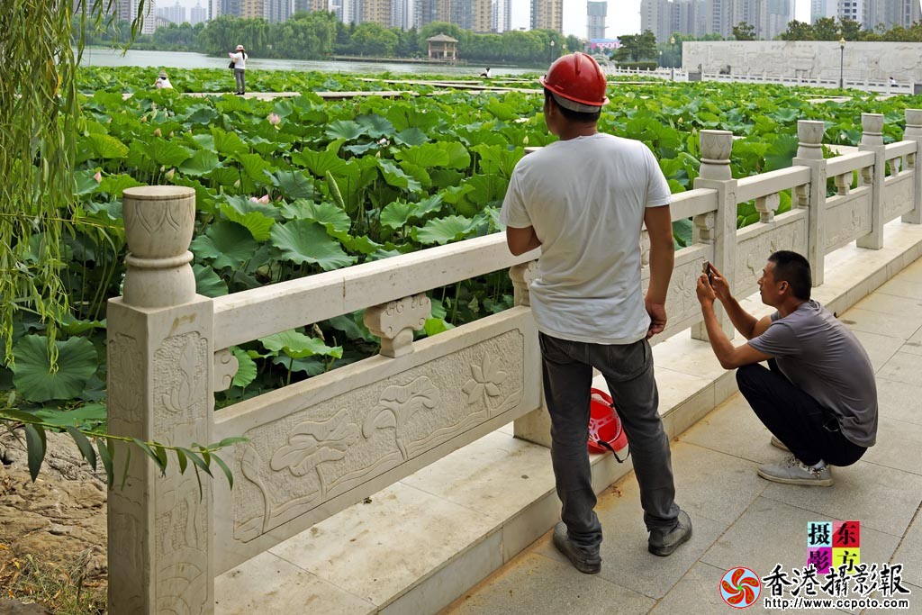 城市的建设者3..jpg