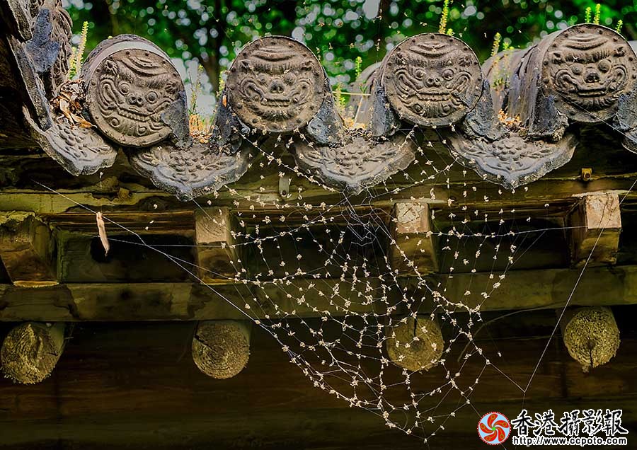 IMG_7984网罗天下1.jpg