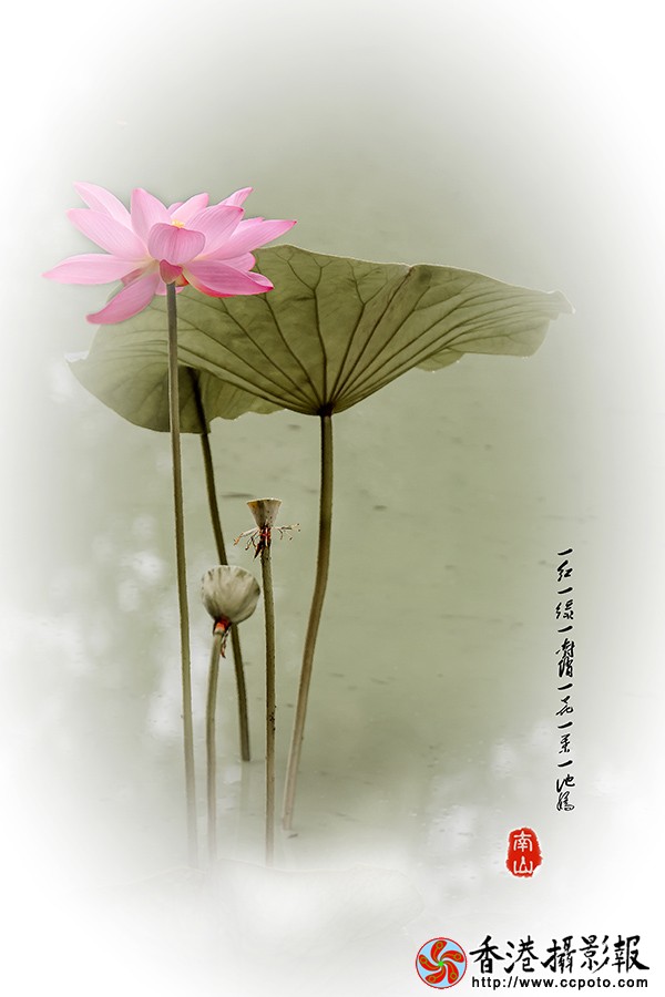 IMG_0557发片用.jpg