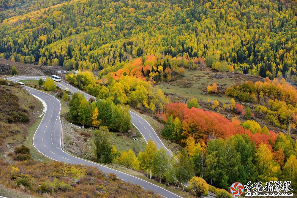 盘山公路秋韵