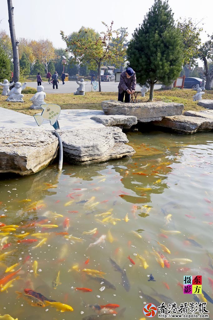 马泉重阳日14..jpg