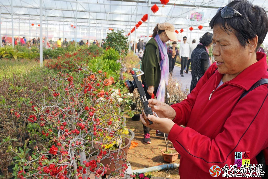 海棠节的赏花人3..jpg