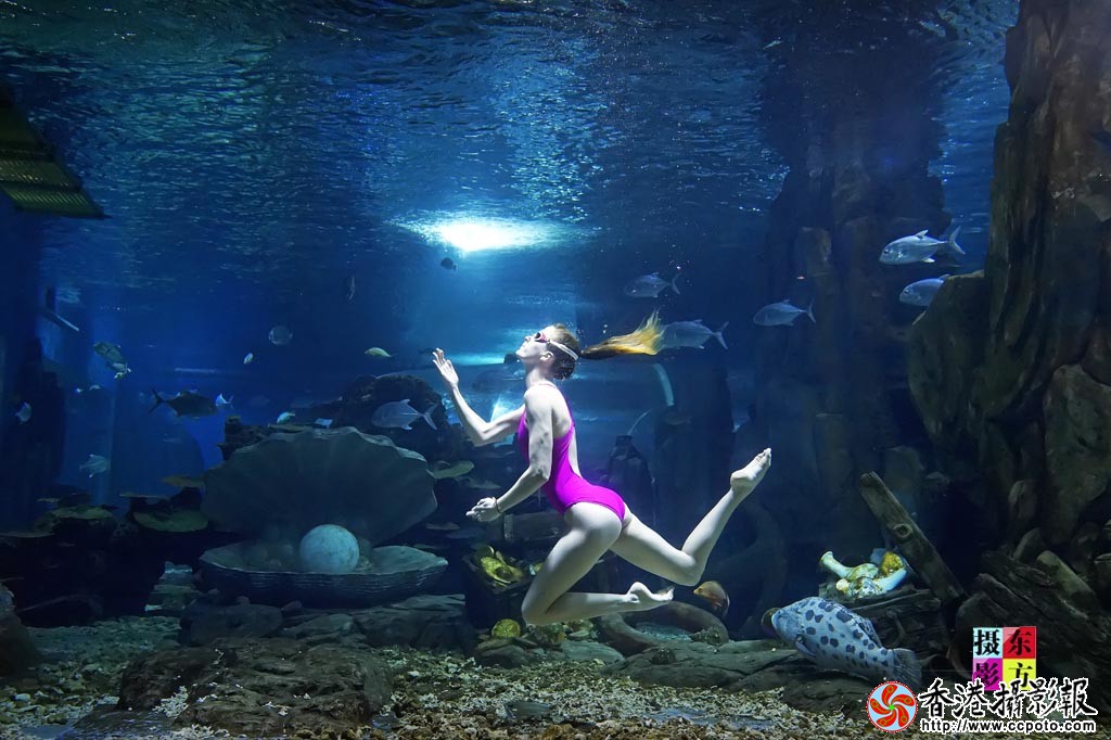水中双人舞1..jpg
