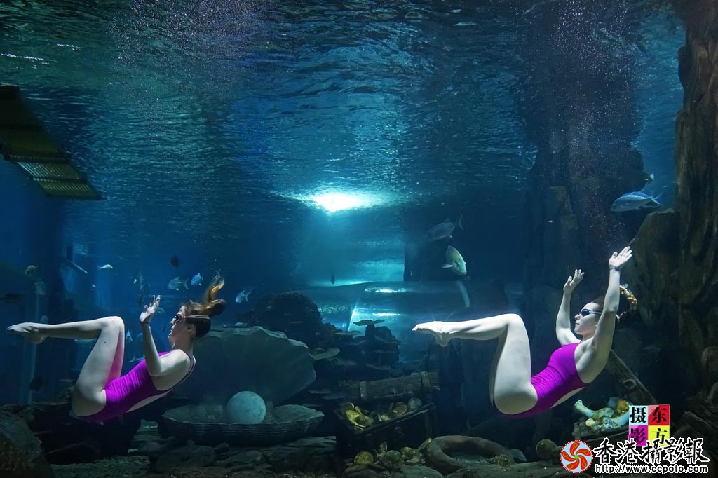 水中双人舞5..jpg