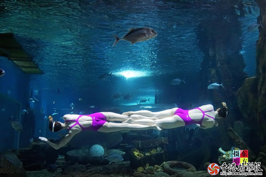 水中双人舞8..jpg