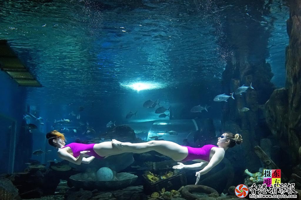 水中双人舞17..jpg