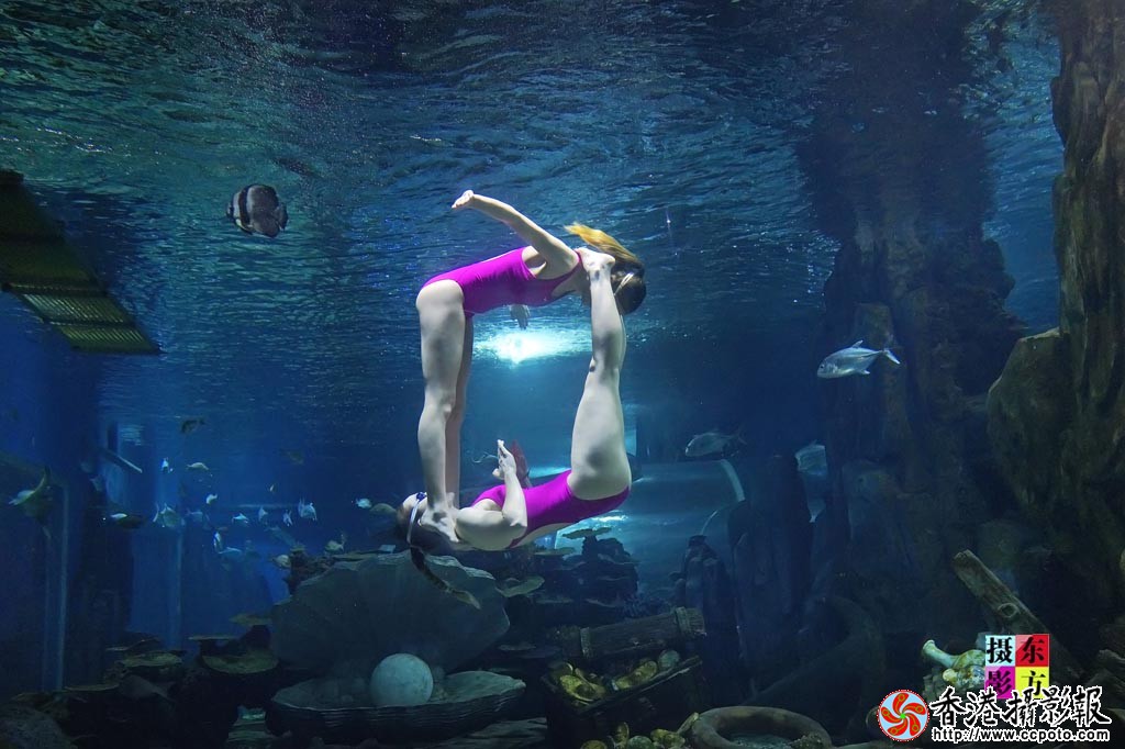 水中双人舞19..jpg