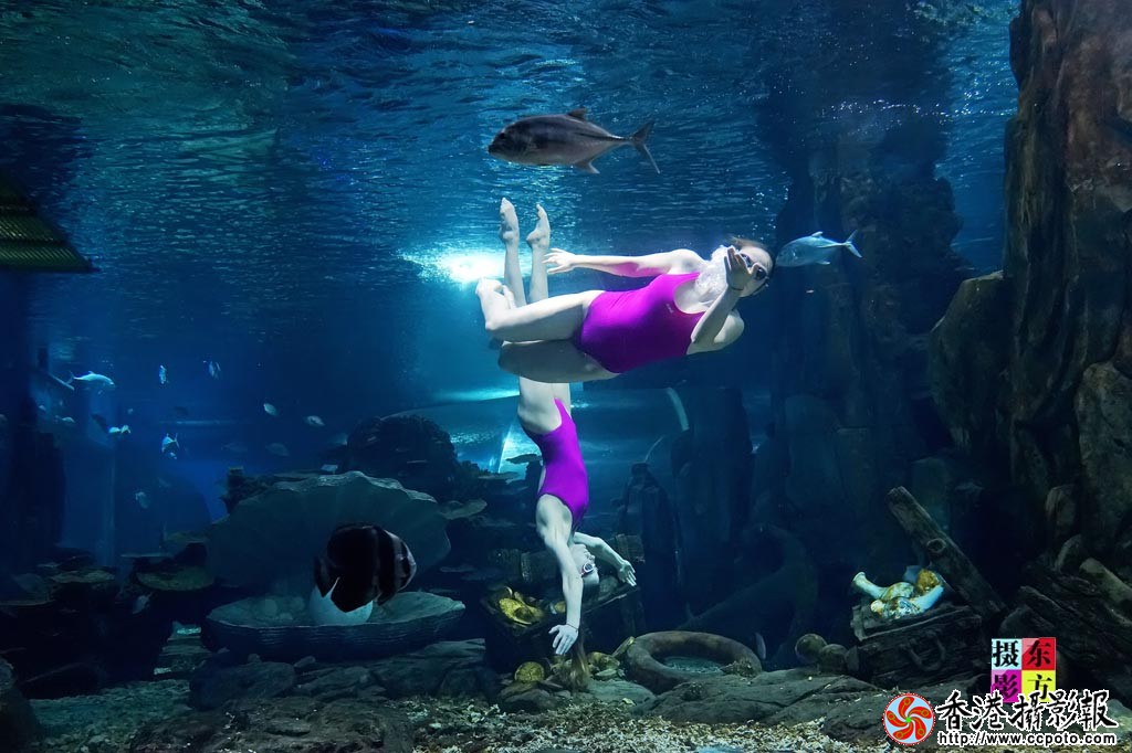 水中双人舞23..jpg