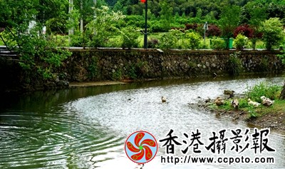 霭里凤光之二
