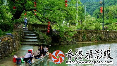 霭里凤光之三