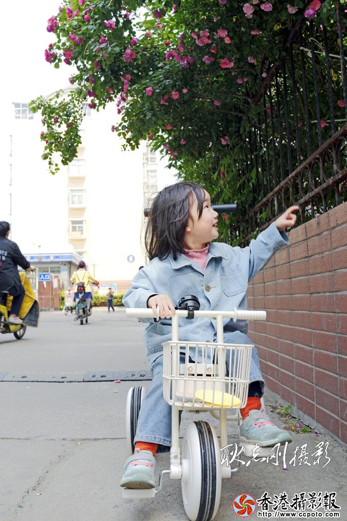 小骑手-3..jpg