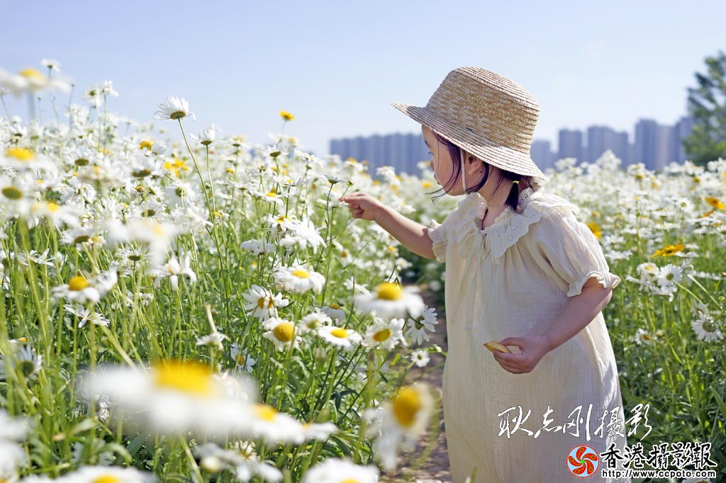游花海-5..jpg