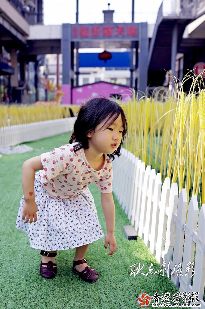 麦田来客2..jpg