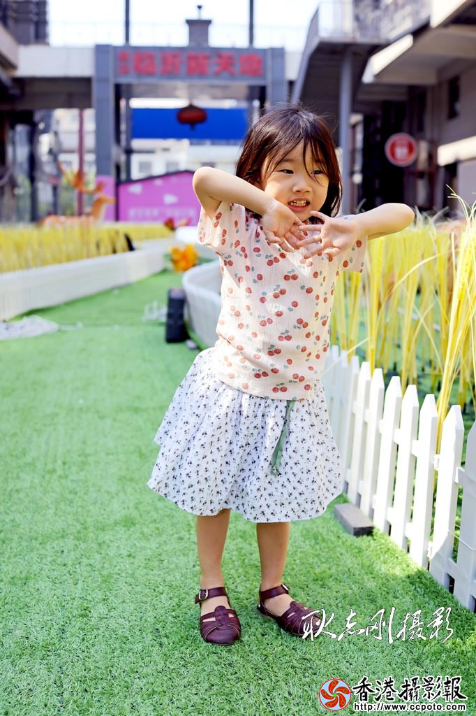 麦田来客3..jpg